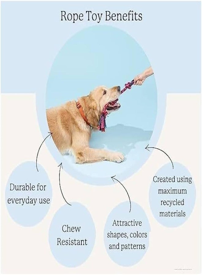 KittuPet مجموعة ألعاب KittuPet للحيوانات الأليفة تتضمن لعبة حبل طويل، ولعبة كرة حبل، وألعاب تصدر صوتاً، وألعاب حبل قطني معقودة طويلة للمضغ والتسنين والجلب للجراء والكلاب (قد يختلف اللون، عبوة من 6 قطع). - Image 5